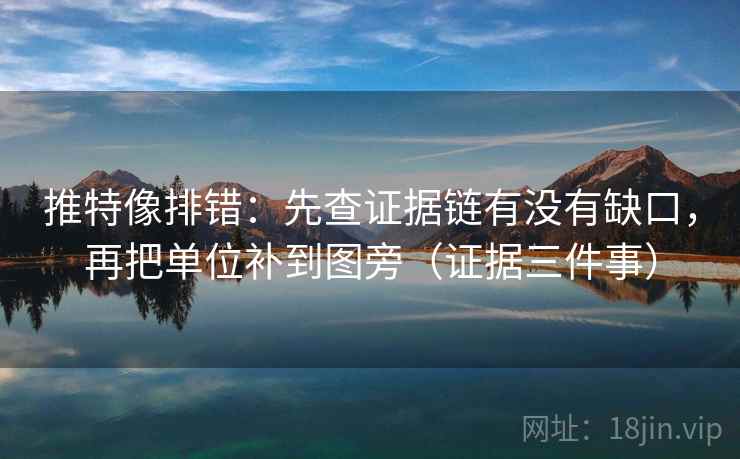 推特像排错：先查证据链有没有缺口，再把单位补到图旁（证据三件事）
