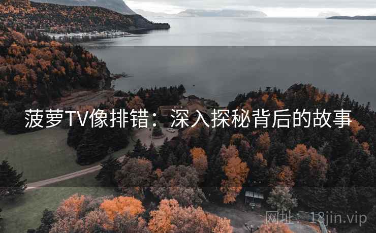 菠萝TV像排错：深入探秘背后的故事