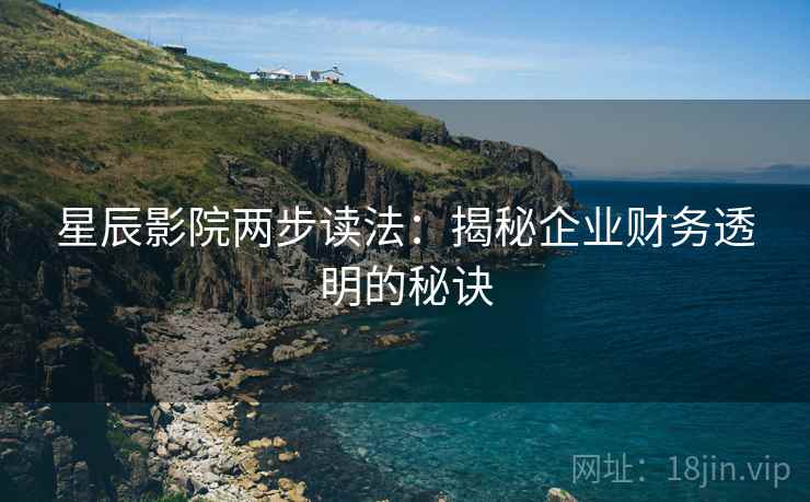 星辰影院两步读法：揭秘企业财务透明的秘诀
