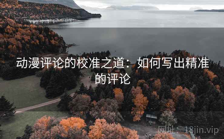 动漫评论的校准之道：如何写出精准的评论